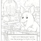 Coloring Book p5 - D2D Organics